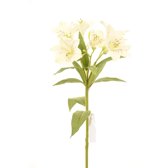 Astromelia 63cm # 14