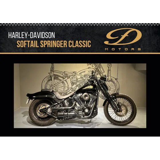 Harley-davidson Softail Springer Classic Df Motors