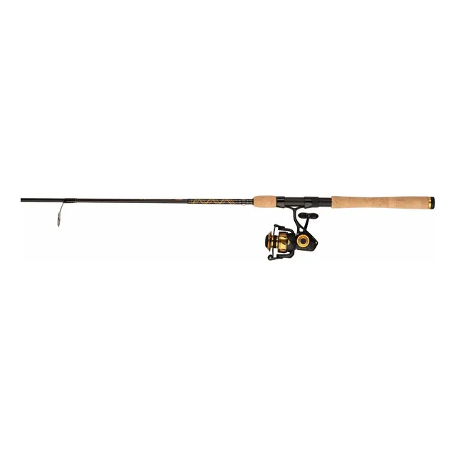 Penn Combo Agua Salada Spinfisher Vi