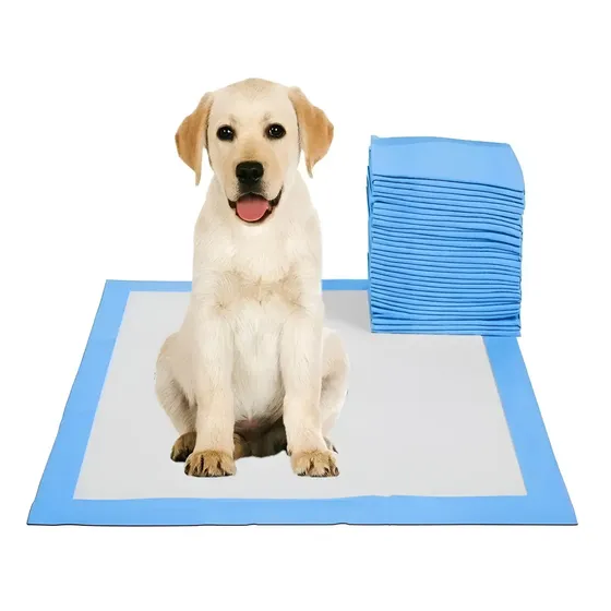 Pañales De Entrenamiento 90x60 - 80 Unds Sabanillas Baño Perros Qatarshop Sabanillas Desechables Perros Mascotas Adiestramiento Qatar Educador Sanitario | Cuotas sin interés