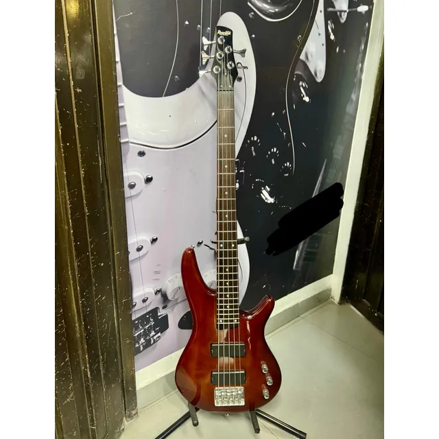 Bajo Ibanez Gio Soundgear 5 Cuerdas Gsr205