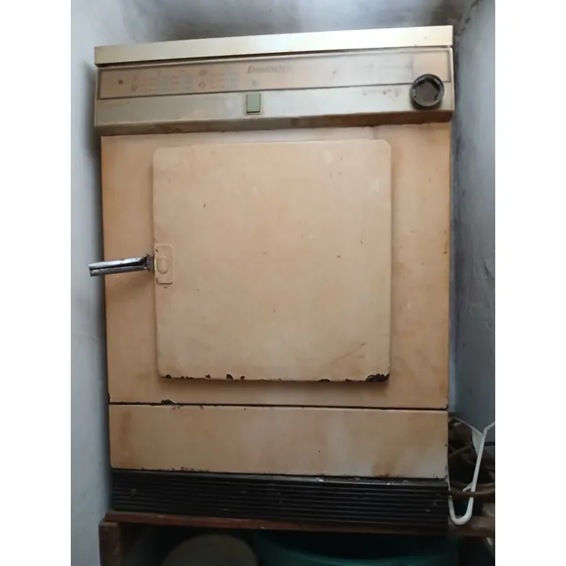 Secarropa Usado