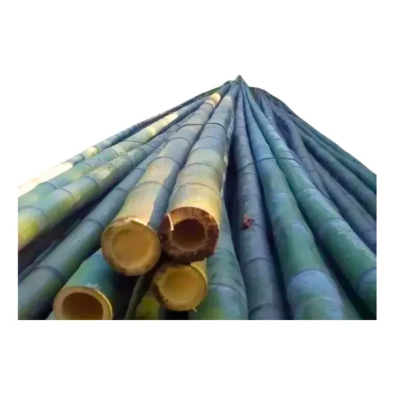 Asesoramiento En Cañas Bambú Para Pérgolas Y Cercos