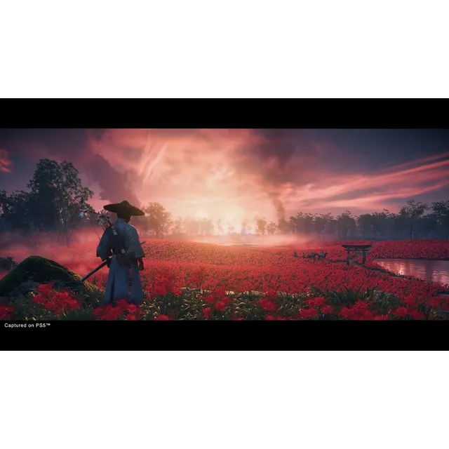 Sony Ghost Of Tsushima Director's Cut Ps4 Físico