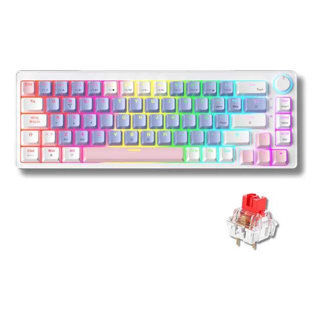 Teclado Mecánico Español Gasket 65% Usb-c 68 Teclas Ag68