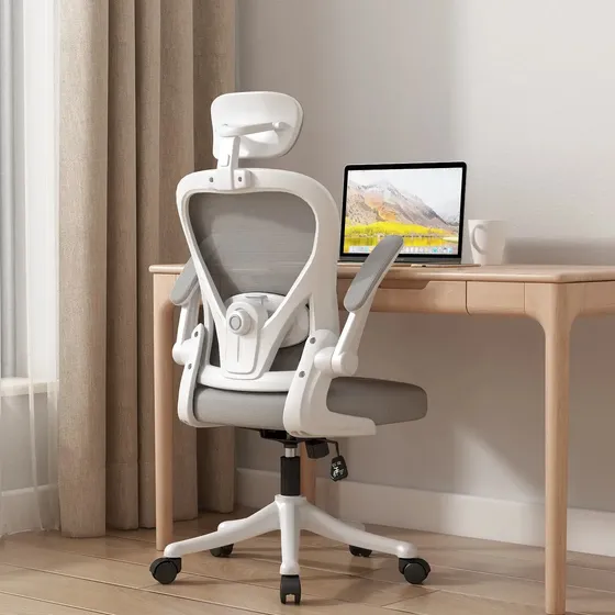 Silla de Oficina Ejecutiva Amia con Soporte Lumbar Regulable y Apoyabrazos Ajustables, Color Gris