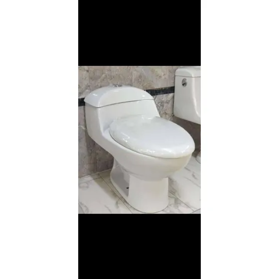 Wc Poceta Tanque Bajo De Lujo Doble Descarga 