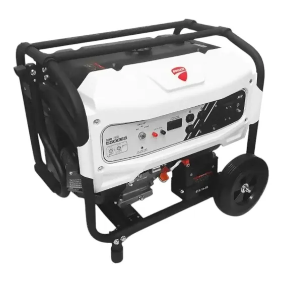Generador A Gasolina 5500 W Ducati + Msi