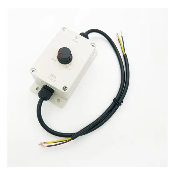 Controlador De Velocidad Del Motor De Ca 110 V/220 V Con Int