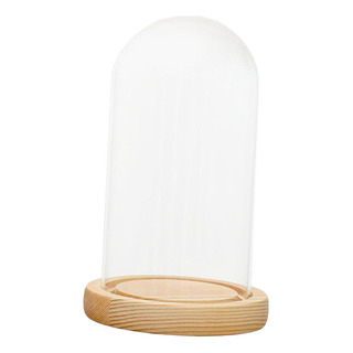 A Soporte De Cúpula De Vidrio Transparente Con Base De A Soporte De Cúpula De Vidrio Transparente Con Base De