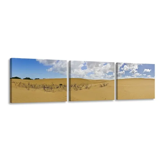 Cuadro Medanos De Coro Falcon Multipanel Lienzo Foto Canvas
