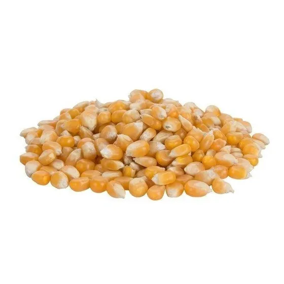 Maíz Curagua 5 Kilos Para Hacer Cabritas. Onlynaturalstore