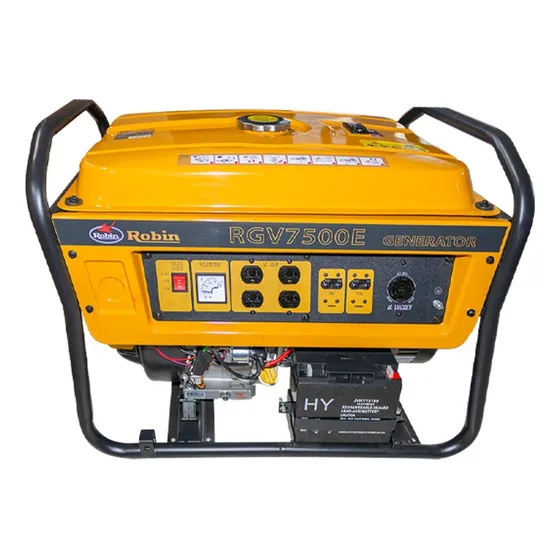 Generador Planta De Luz Robin Rgv7500 A Gasolina Original