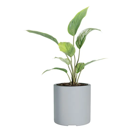 Maceta De Plástico Rotomoldeada Amalfi Modelo Cilindro N30 De 30 Cm De Alto Por 30 Cm De Diámetro Y 20 Litros Color Gris Perla