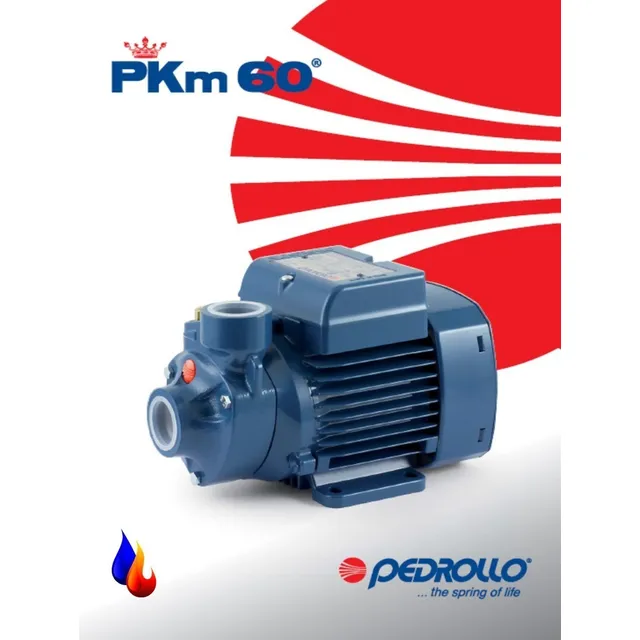 Bomba De Agua Pedrollo 1/2 Hp