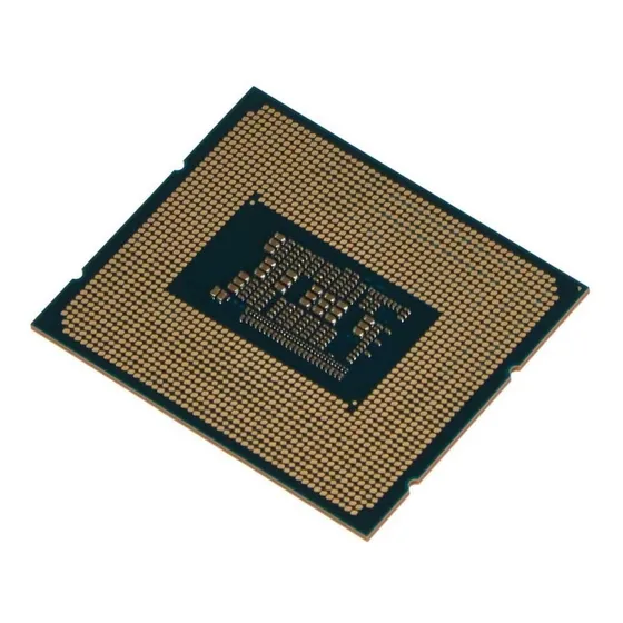 Procesador Intel Celeron G6900