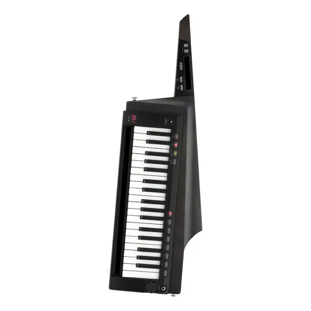 Sintetizador Korg Tipo Guitarra 37 Teclas Rk-100s Cuo Color Negro