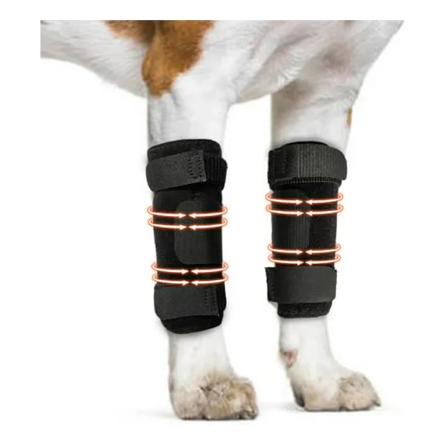 Par De Férulas Para Patas Delanteras Y Traseras De Perro