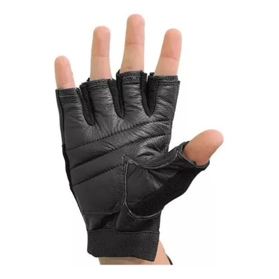 Guantes De Entrenamiento Everlast Authority Iii Weight Glove