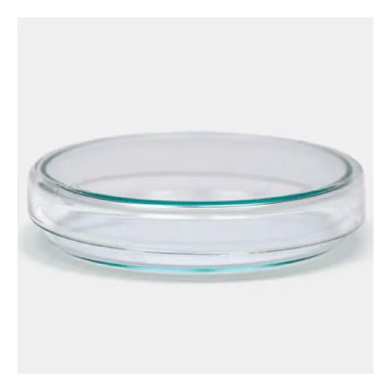 Capsula Placa De Petri De Vidrio Con Tapa 100x20 Mm