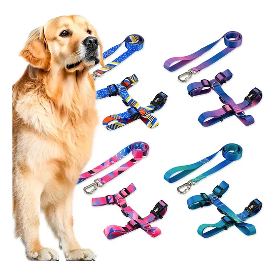 Coleira Peitoral Com Guia Cachorro Basic Pet Coleção First