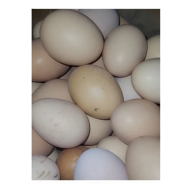 Huevos De Corral