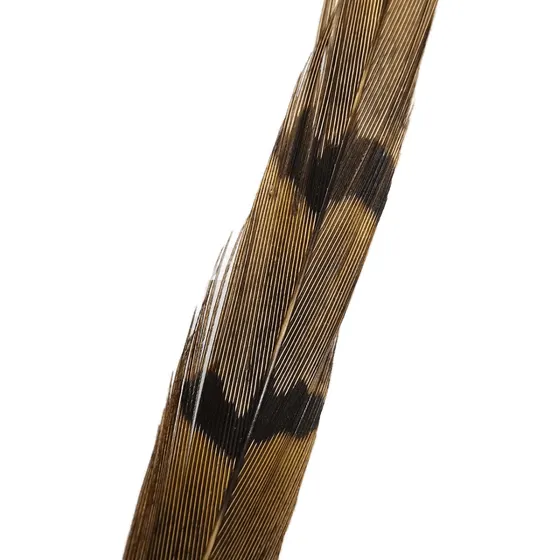 Pheasant Tail, Cola De Faisán. Atado De Moscas. Fly Tying.