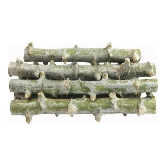 100 Manivas Mandioca Brs399 Para Plantio/ Ramas 