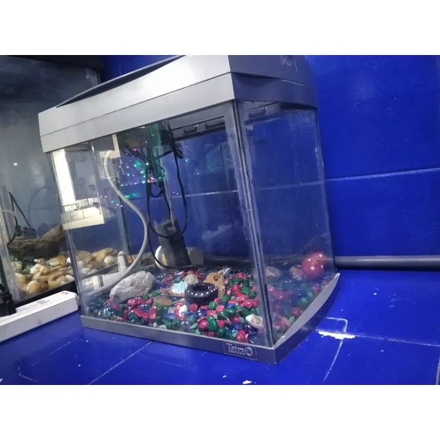 Acuario De Agua Dulce 