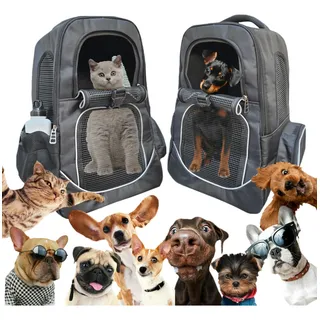 Morral para mascotas sale