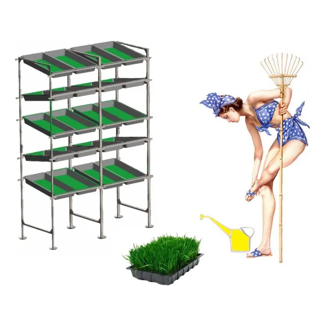Estante Rack Con 100 Bandejas Para Forraje Verde Hidropónico