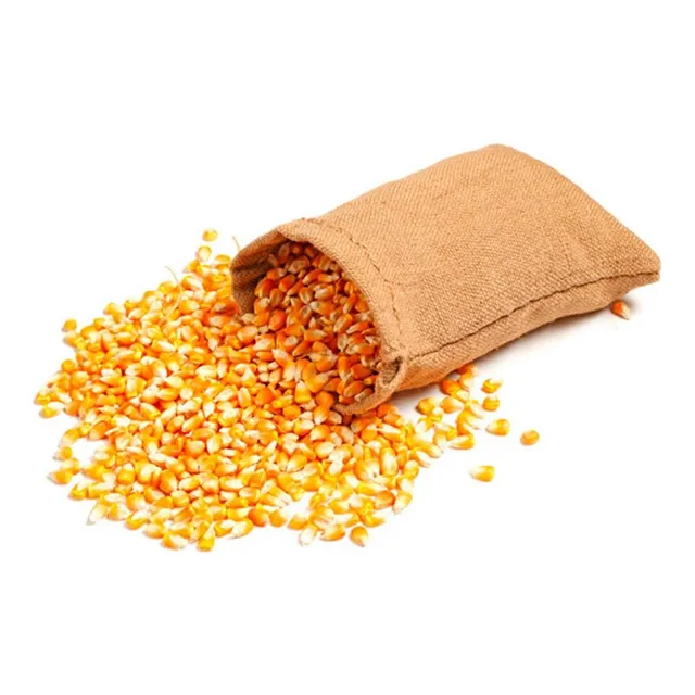 Maiz Entero Grano 25kg