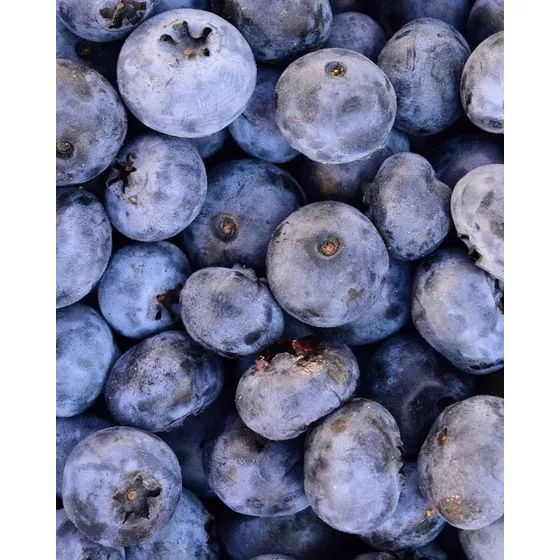Arandanos Congelados X 3 Unidades Envio Gratis