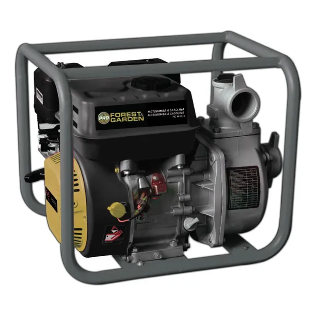 Motobomba A Nafta Forest & Garden Pro 9hp 242cc - Mg8040/2 -