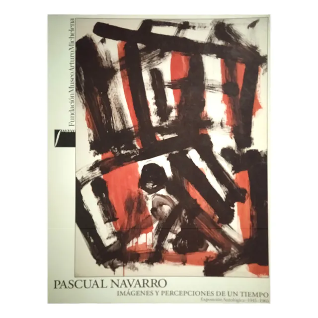 Pascual Navarro Imágenes Y Percepciones / Catálogo De Arte