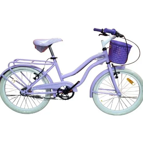 Bicicleta Nena Rodado 20 Paseo Enrique Stars Rosa Canasto