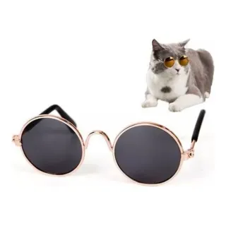 Lentes de gato mercadolibre hotsell