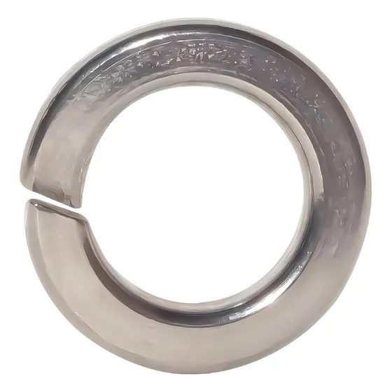 Arruela M10 Aço Inox Pressão Ciser - 24 Unidades