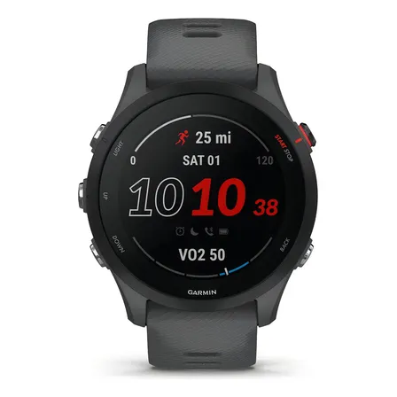 Relógio Garmin 255 Forerunner Cinza Novo Original Cinza Ardósia Esportivo Preto