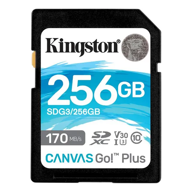 Sdg3/256gb Memoria Sd Canvas Go Plus 256 Gb