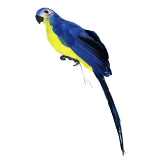 Loro De Plumas De Pájaros Artificiales De Guacamayo Para El Loro De Plumas De Pájaros Artificiales De Guacamayo Para El