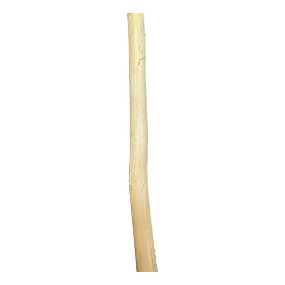 Biriba Sem Casca Biriba Fabricação De Berimbau 10 Unid