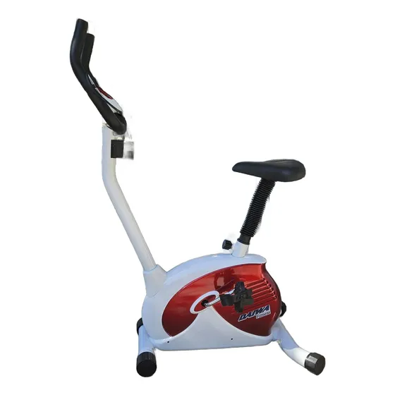 Bicicleta Fija Magnetica Daiwa Db014 Ram