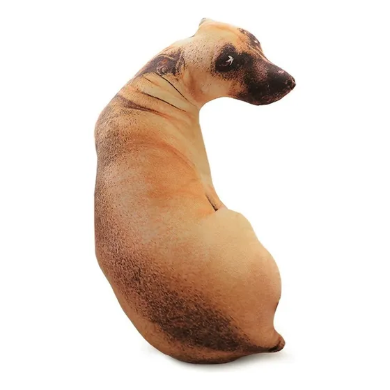 Almofada 3d Cachorro Caramelo Meme 50cm - Pronta Entrega2025