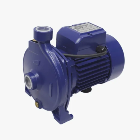 Bomba Centrifuga 1 Hp Monofásica 220v Schraiberpump