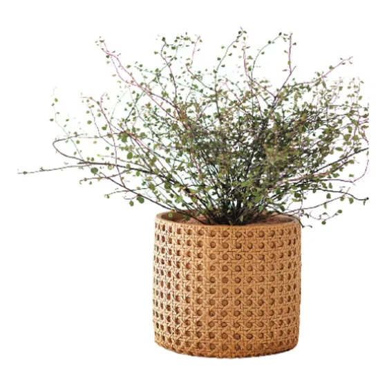 Cachepot Rattan Em Cimento Cor Bege