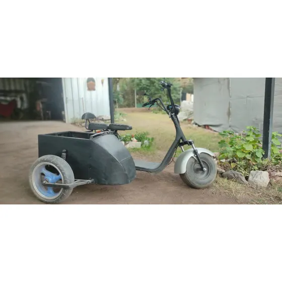 Moto Eléctrica Sunra De 1500 W Con Sidecar