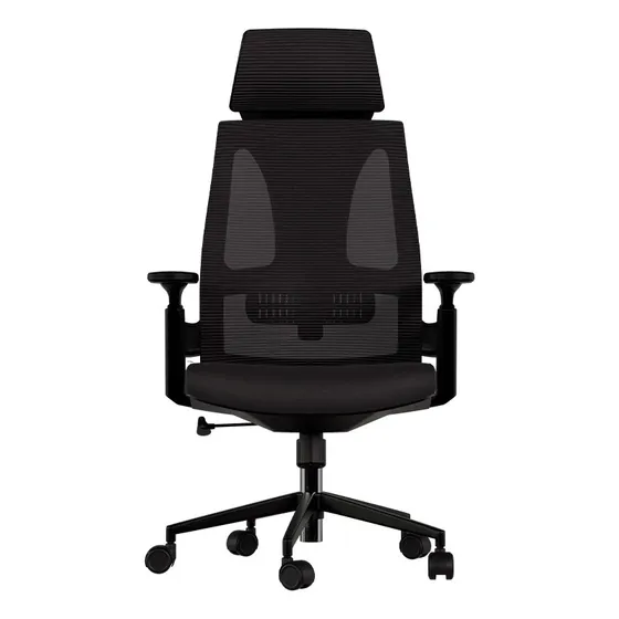 Cadeira Ergonômica Elements Helene Special - Cor Preto