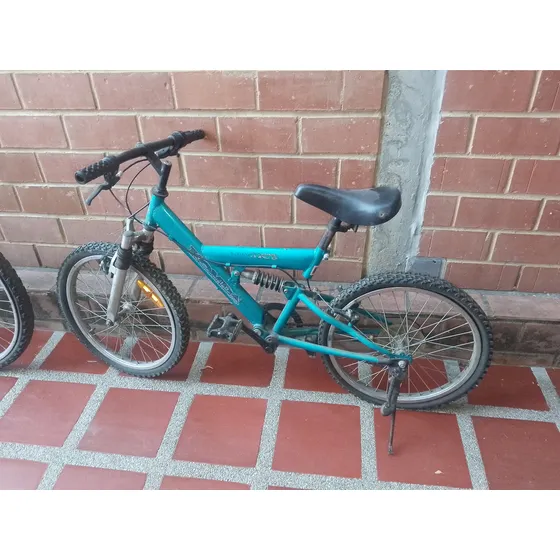 Bicicleta Rin 20