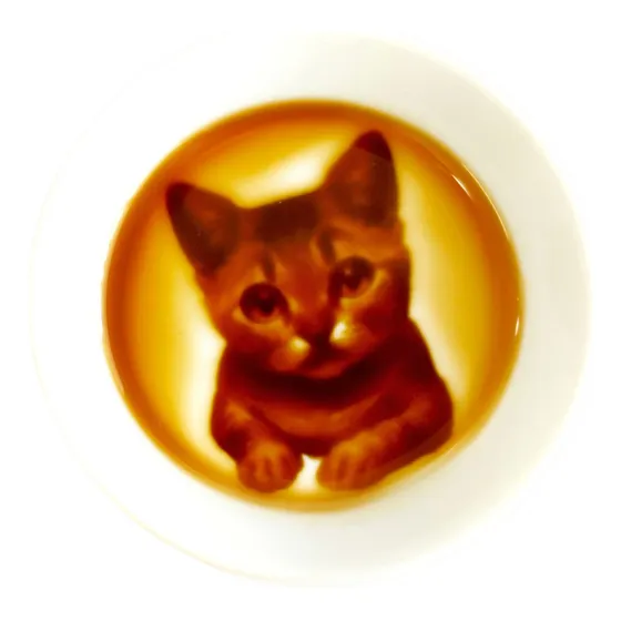 Plato Condimento Para Gatito Hecho Japon Salsa Soja Sushi X